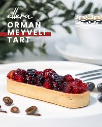 ORMAN MEYVELİ TART
